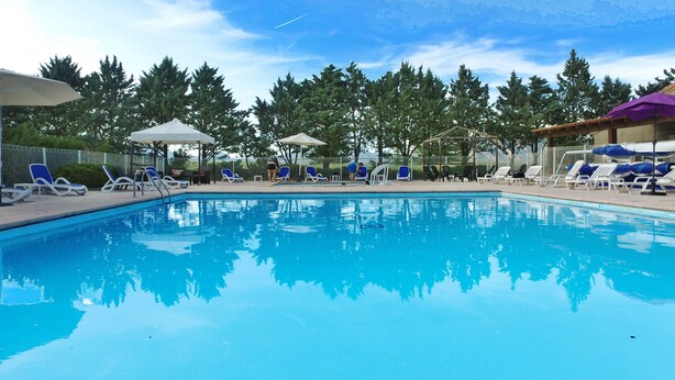 Ein Swimmingpool mit Liegestühlen und Sonnenschirmen, umgeben von Bäumen.