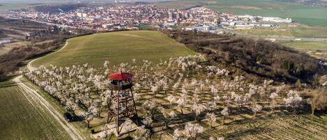 An aerial view of a town with a large open field, a tower, and a distant cityscape.
