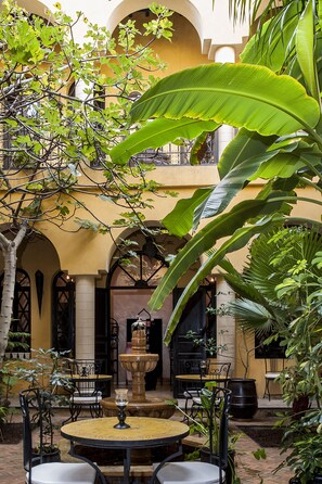 Garden - Riad Soleil d'Orient (El Jadida)