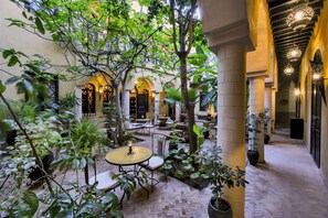Garden - Riad Soleil d'Orient (El Jadida)