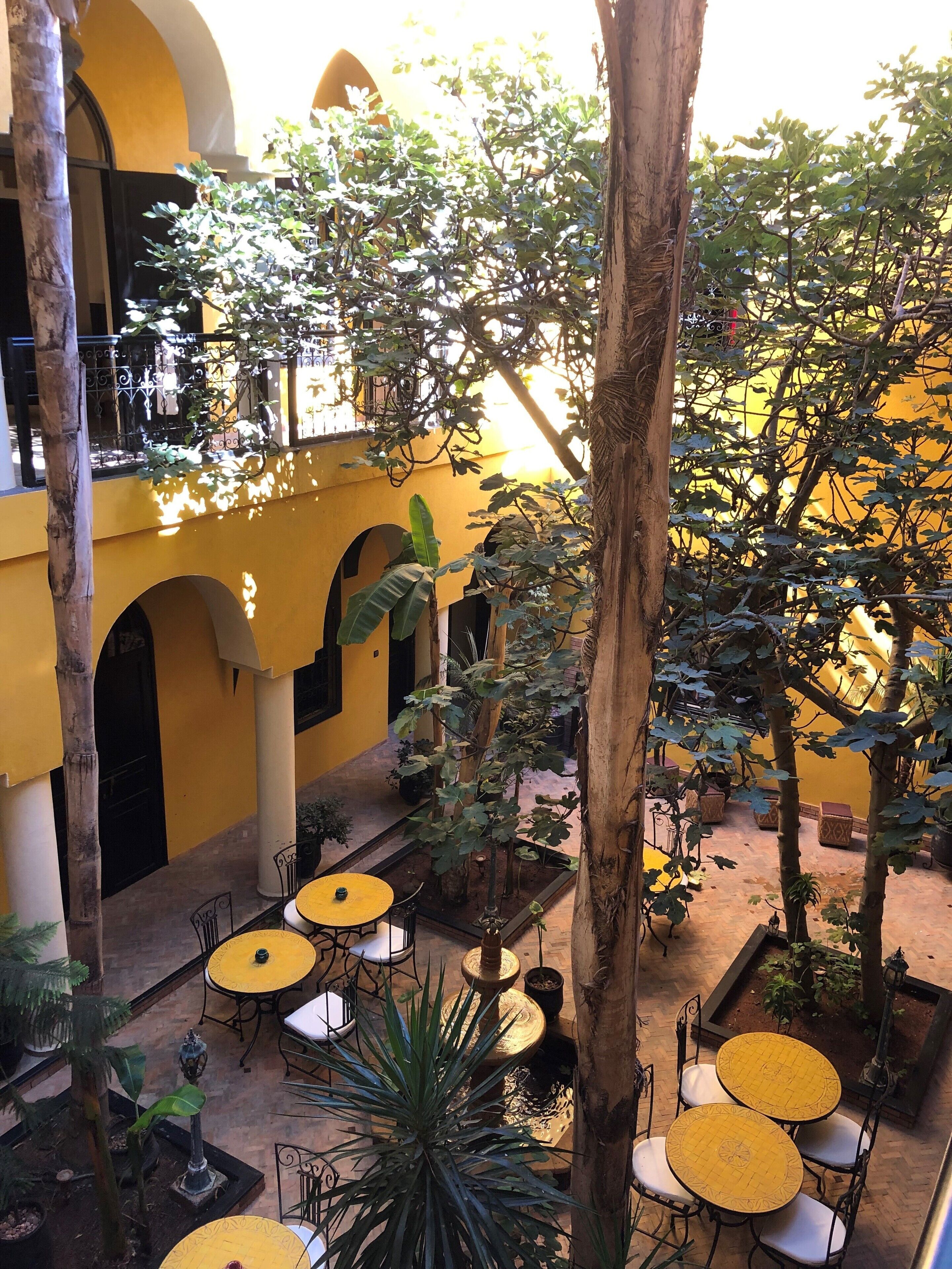 Un patio interior con paredes amarillas, varias mesas y sillas, y diversas plantas.