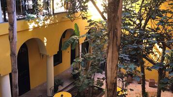 Un patio interior con paredes amarillas, varias mesas y sillas, y diversas plantas.
