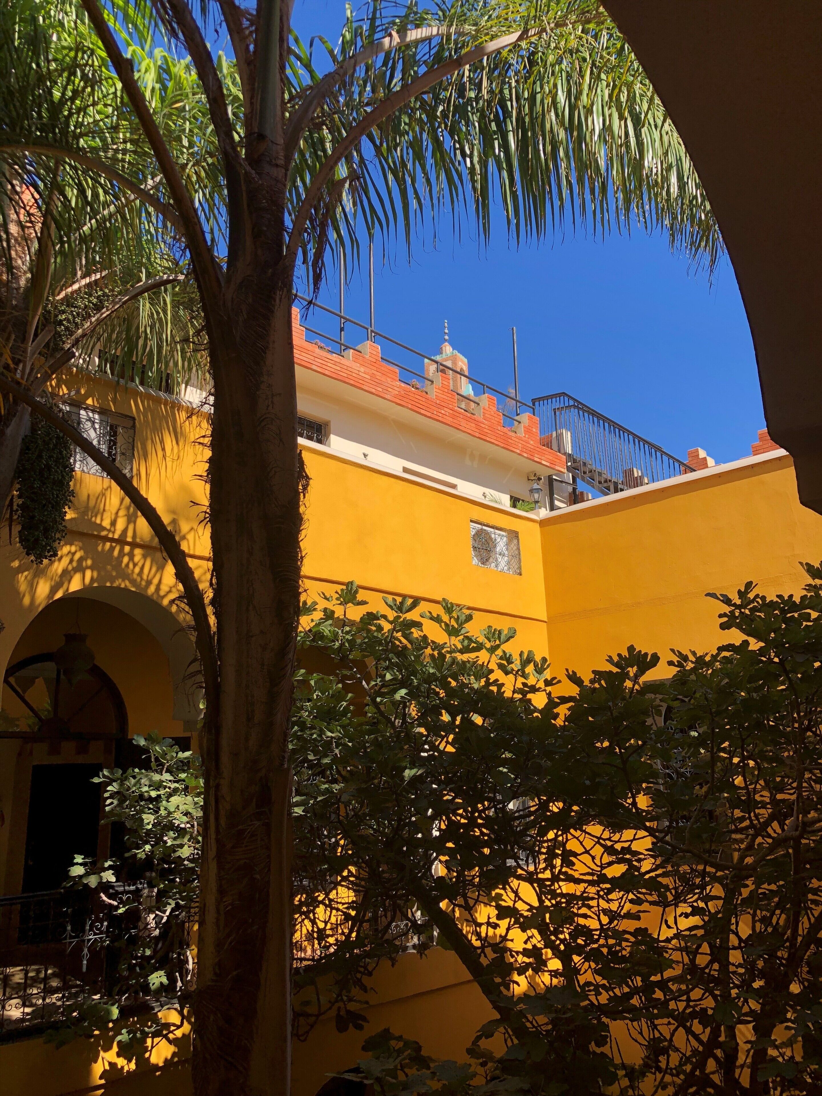 Ein gelbes Gebäude mit Balkon und Baum im Vordergrund.