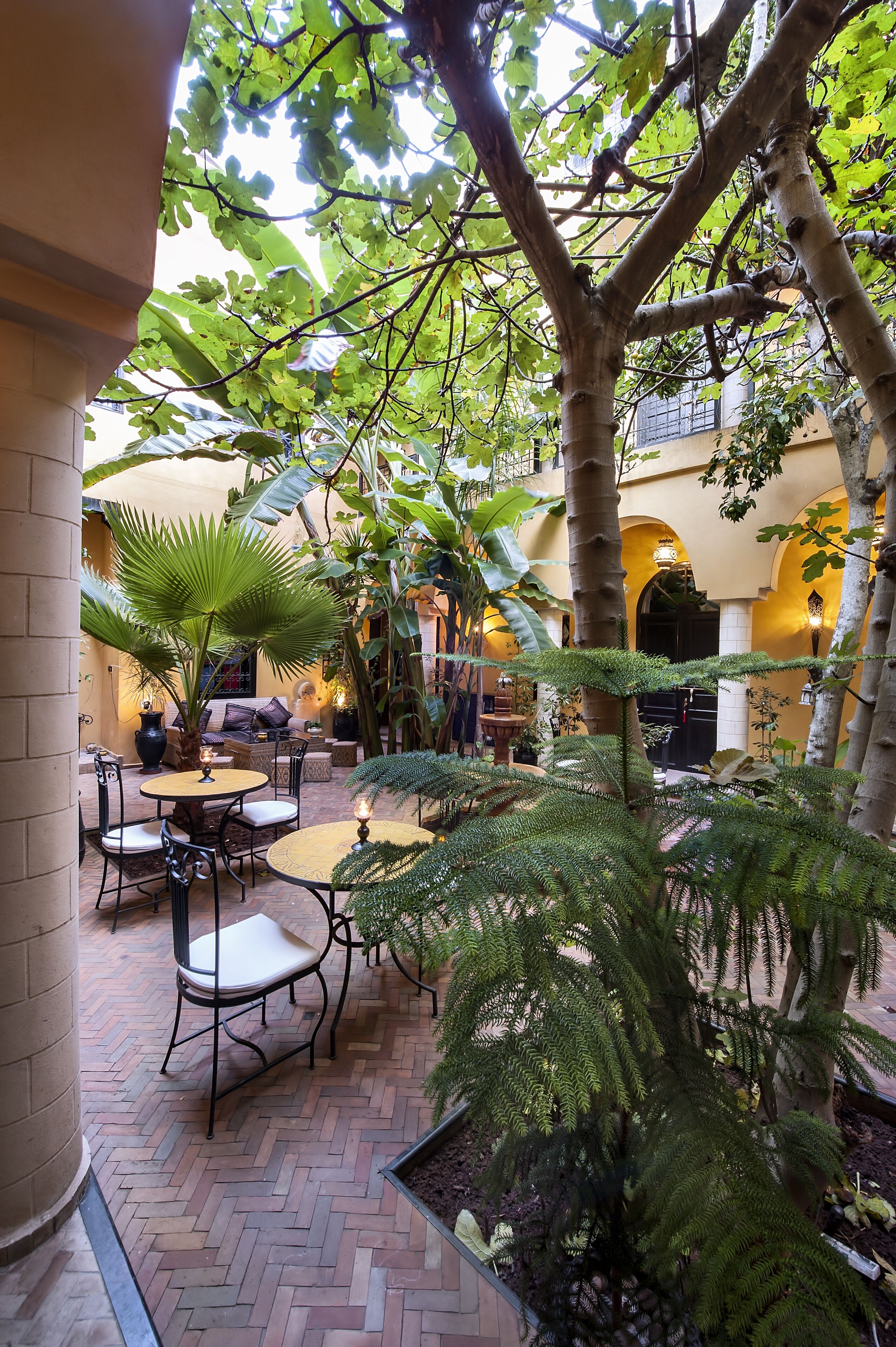 Un patio interior con suelo de ladrillo, mesas, sillas y plantas en macetas.
