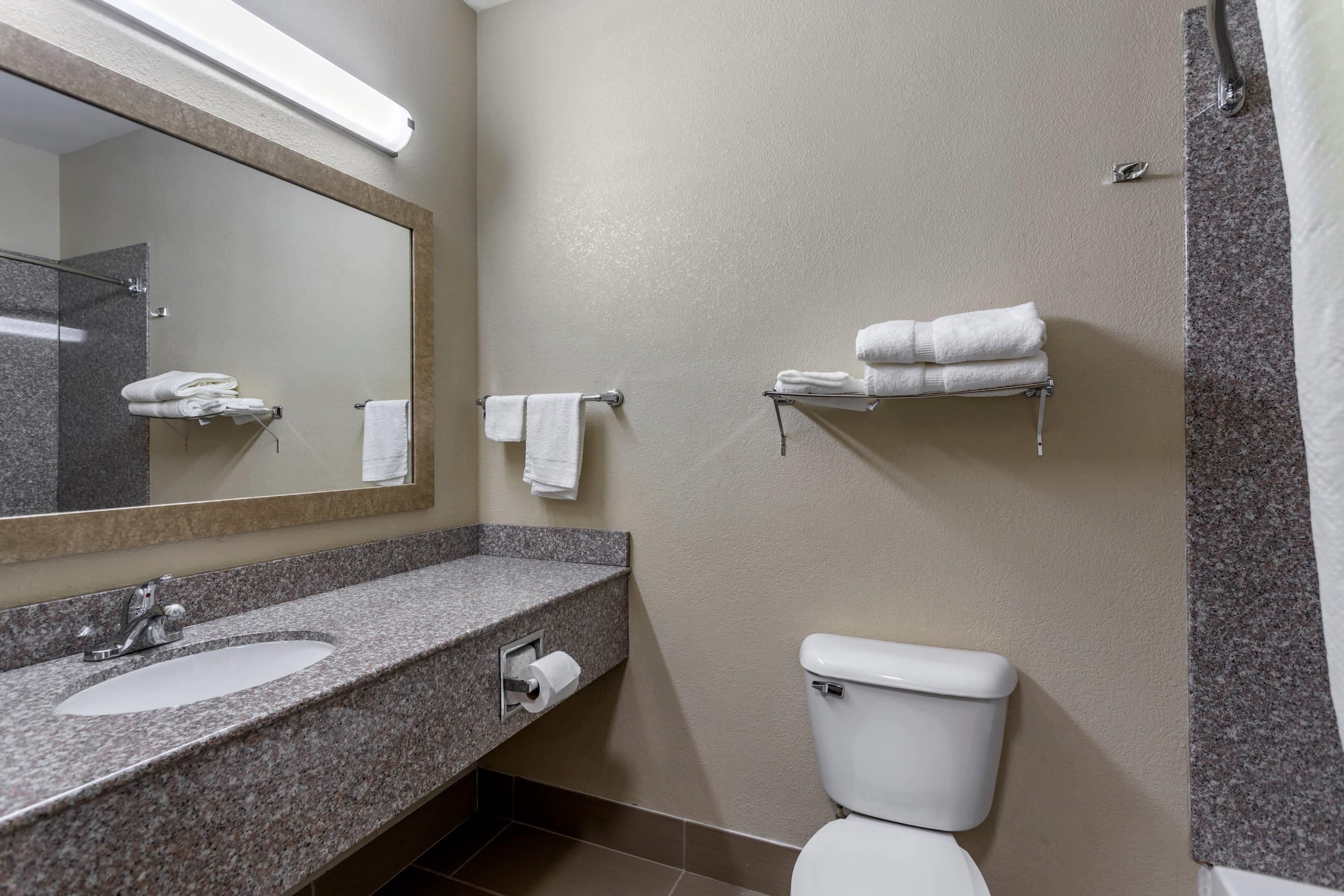 Un baño con lavamanos de encimera de granito, inodoro, toallero y espejo.