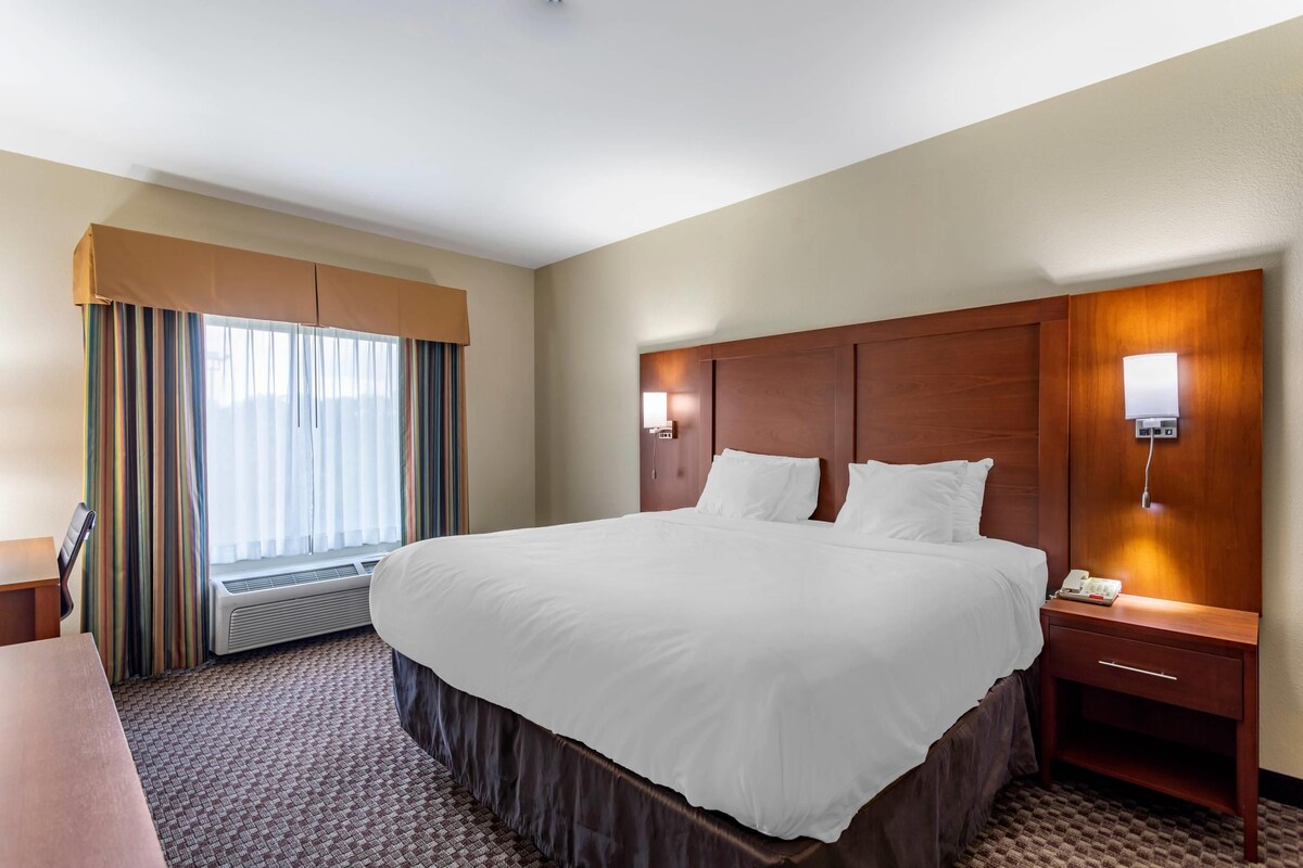 Suite, 1 King Bed, Non Smoking | Down comforters, desk, laptop workspace, blackout drapes