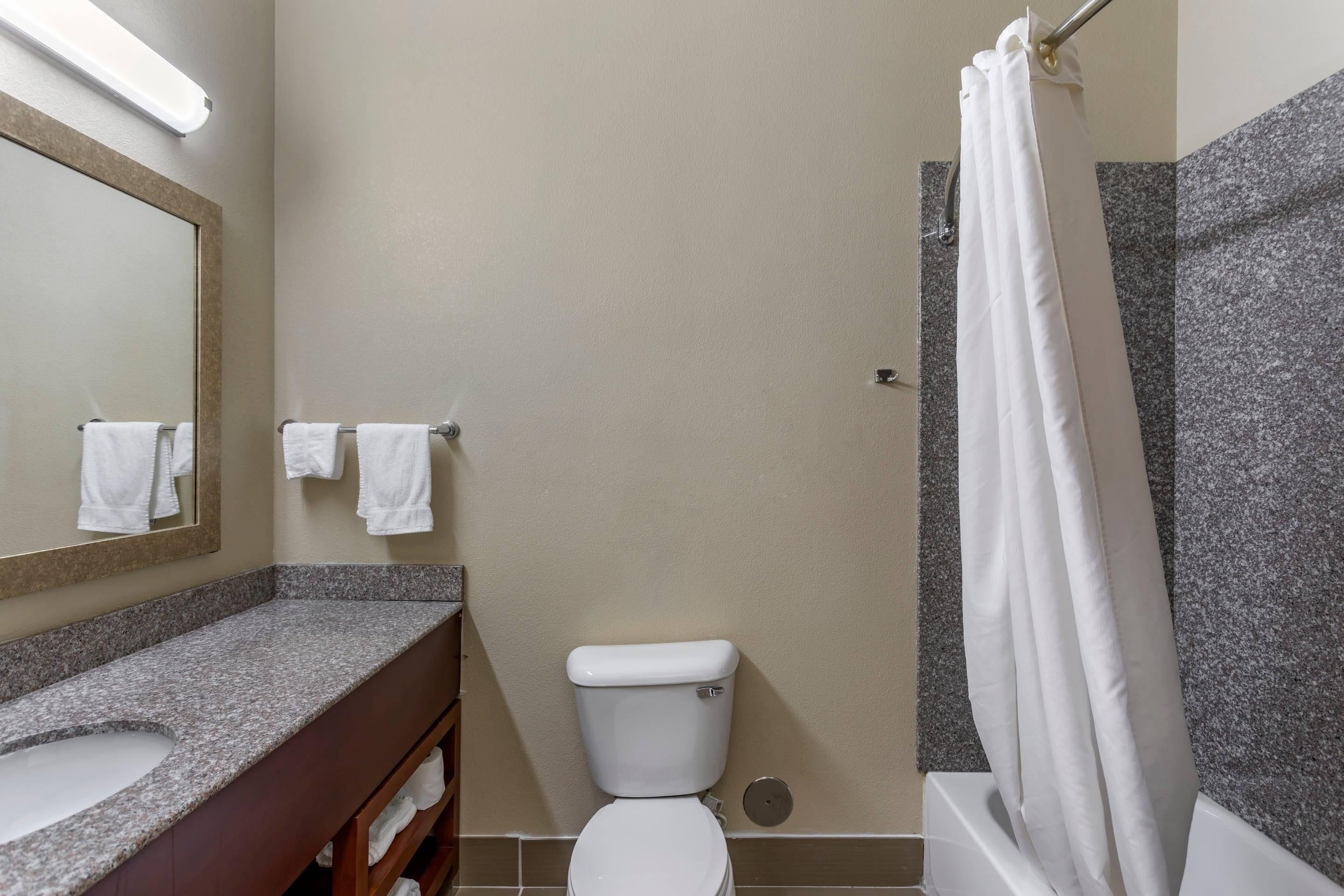 A bathroom with a toilet, sink, and shower area.