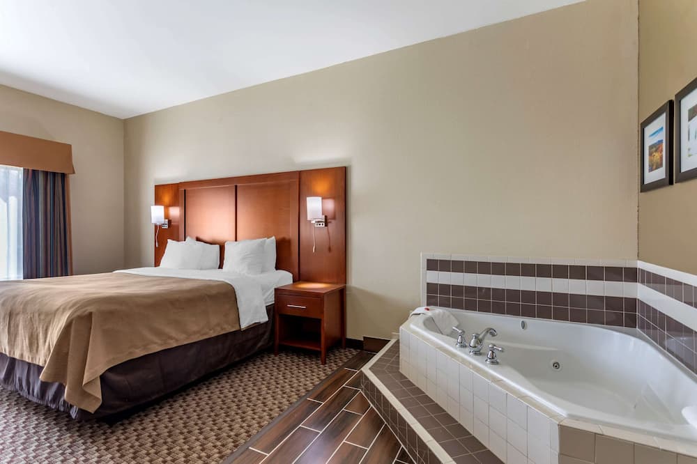 Comfort Inn & Suites Carbondale University Area