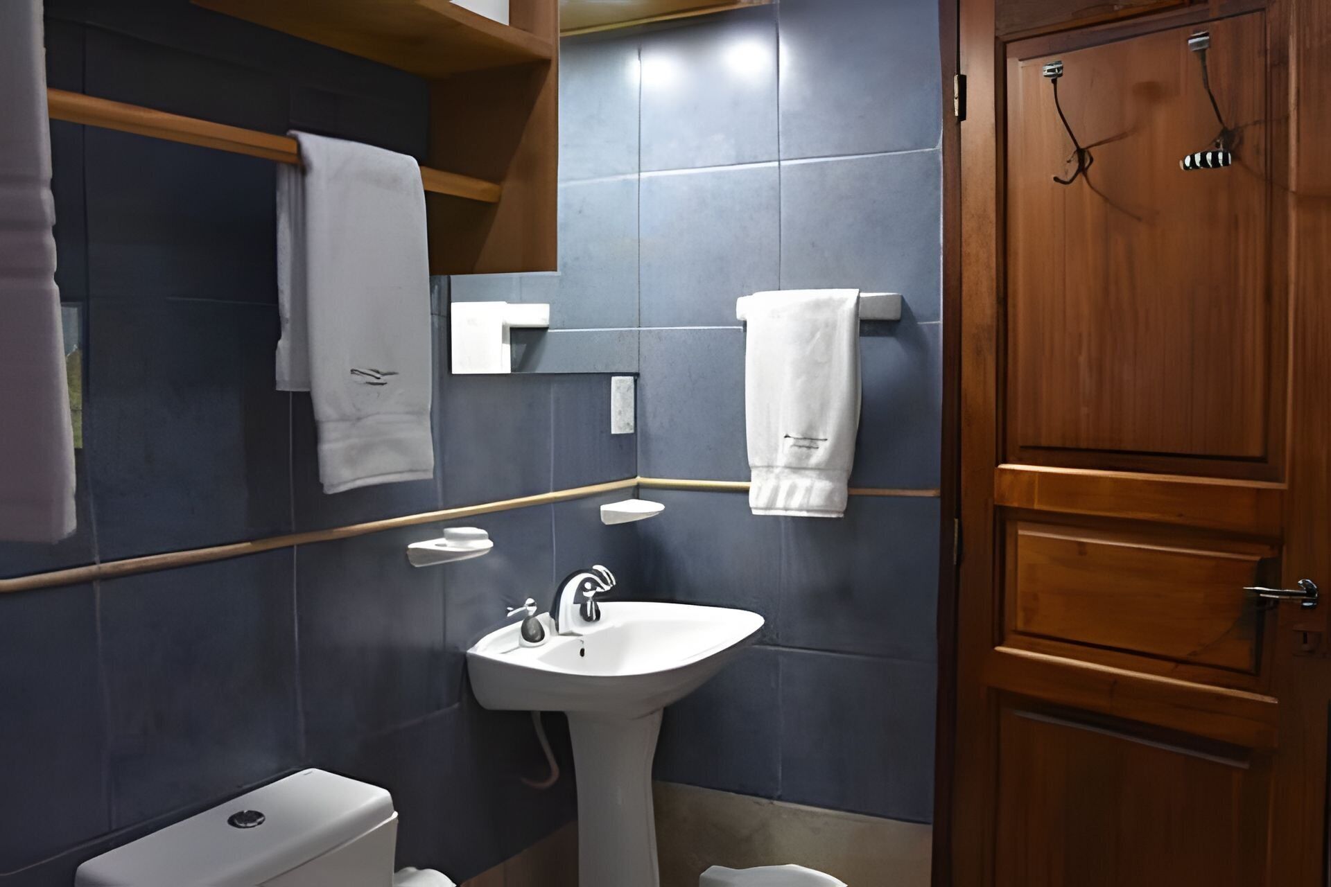 A bathroom with a white sink, a toilet, and a wooden door.