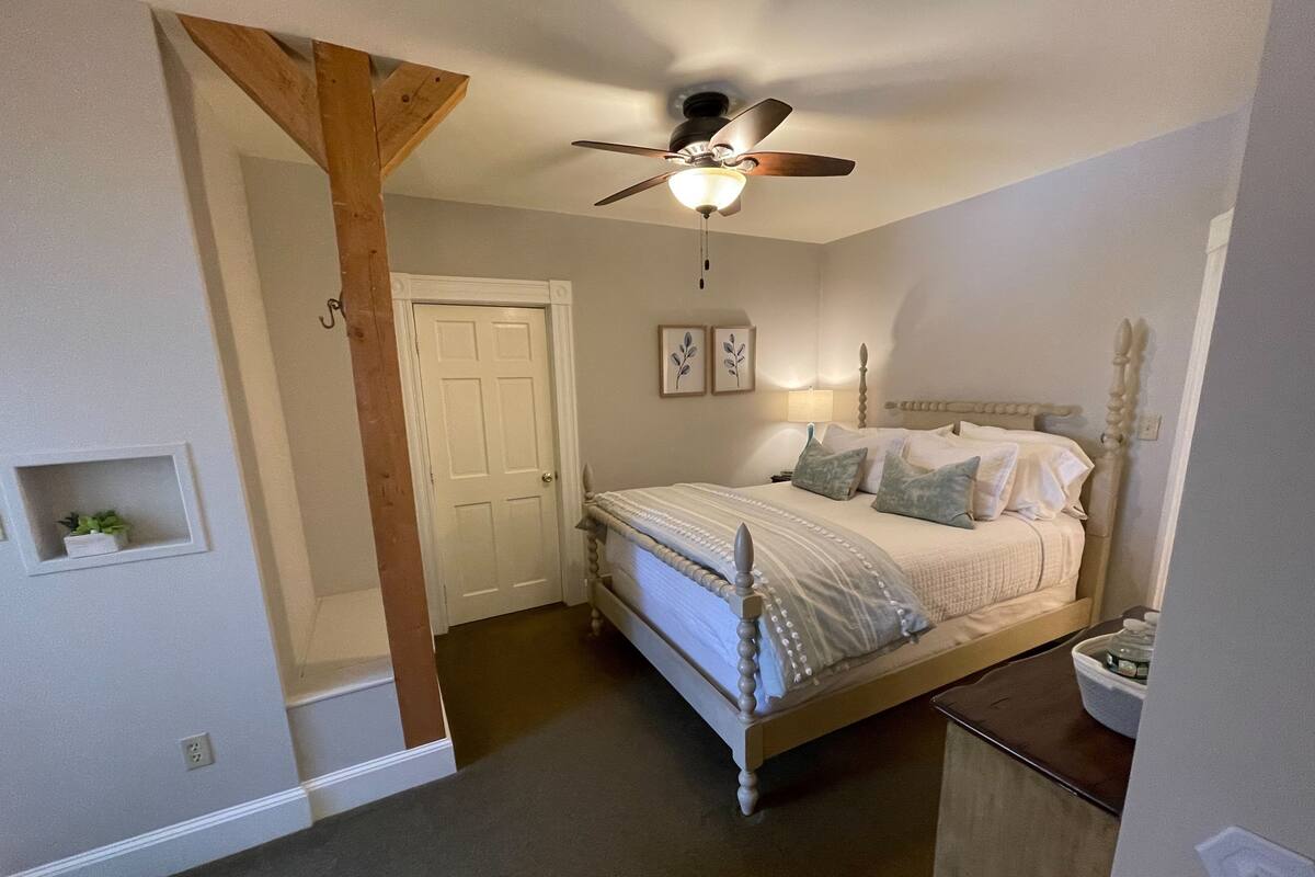 A bedroom with a bed, a ceiling fan, a door, and a small shelf with a plant.