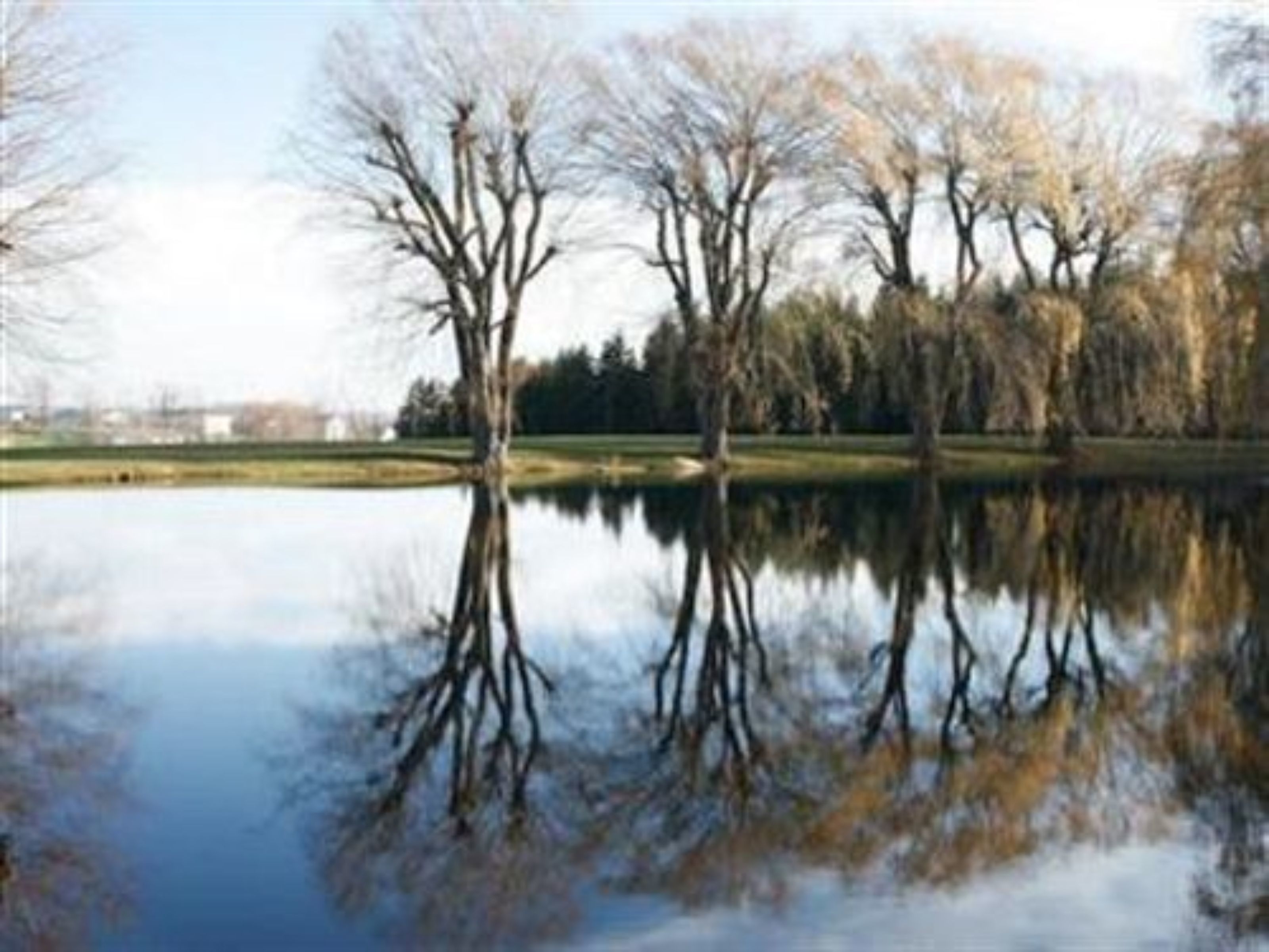 A tranquil park with a calm lake reflecting trees and a clear sky.