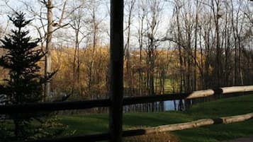 Blick durch einen Holzzaun auf kahle Bäume und eine Wiese im Vordergrund.
