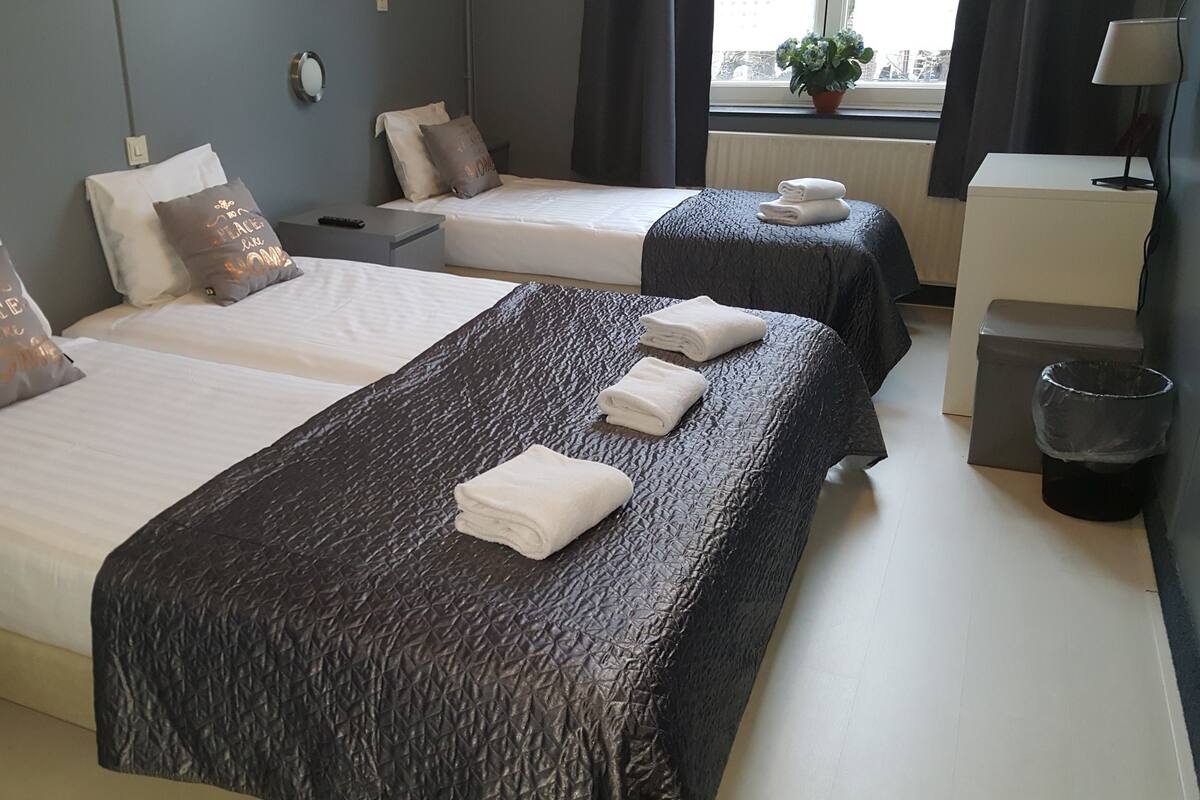 Une chambre d’hôtel avec deux lits, chacun recouvert d’une courtepointe matelassée de couleur sombre et de draps blancs. Il y a deux tables de chevet, l’une avec une lampe et l’autre avec une poubelle. On aperçoit une fenêtre avec des rideaux, et une plante en pot est posée sur le rebord de la fenêtre.