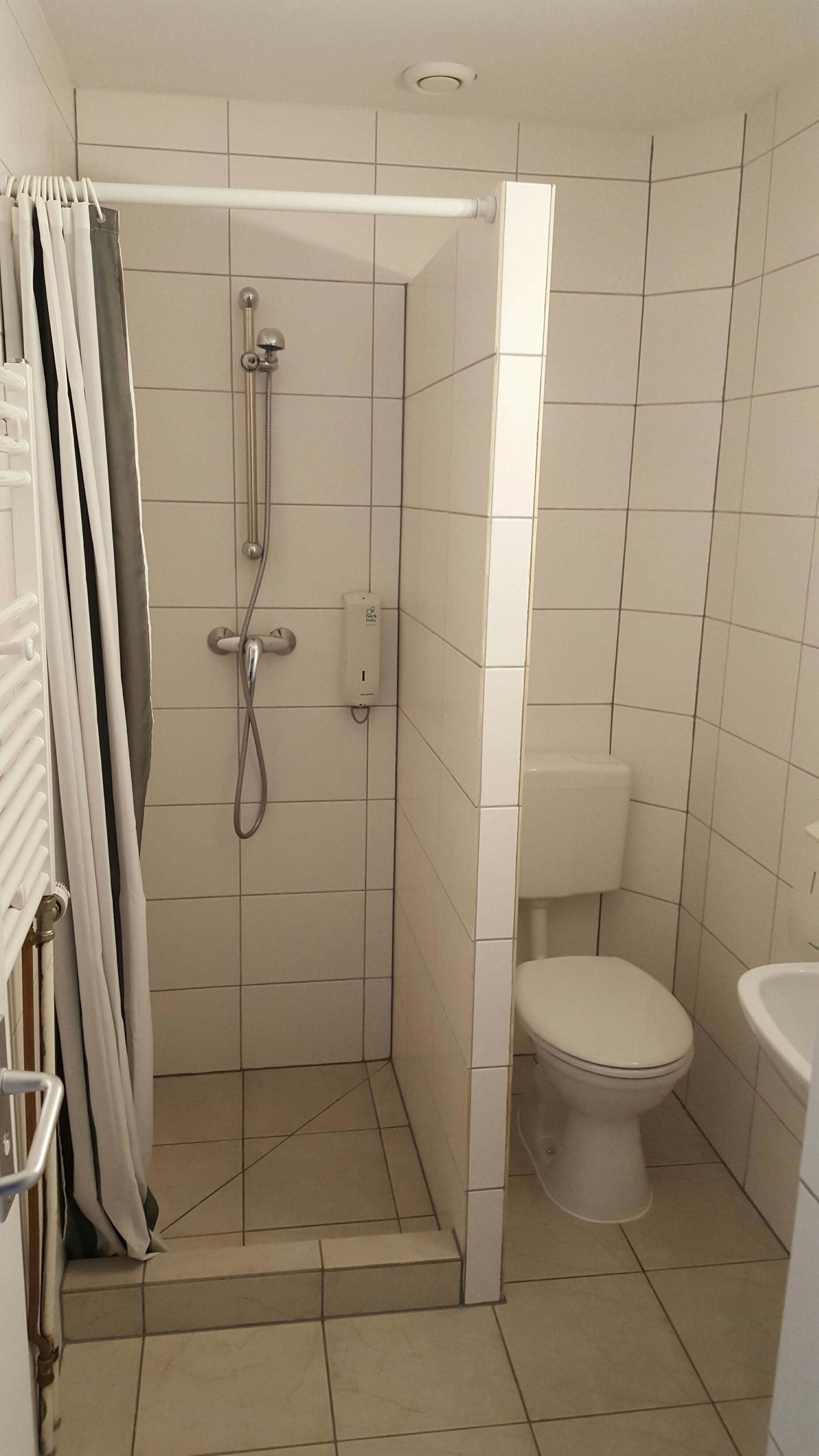 Une petite salle de bain carrelée, équipée d’une douche, de toilettes et d’un lavabo.