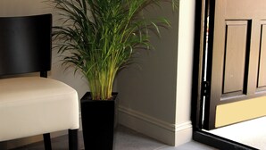 A chair, a potted plant, and a door. - The Penny Farthing (Berkhamsted)