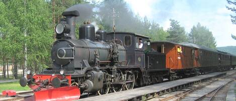 Una locomotora de vapor con la parte delantera negra y roja, arrastrando un vagón de pasajeros sobre una vía férrea rodeada de árboles.