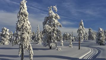 Paisaje nevado con árboles cubiertos de nieve y cielo despejado.