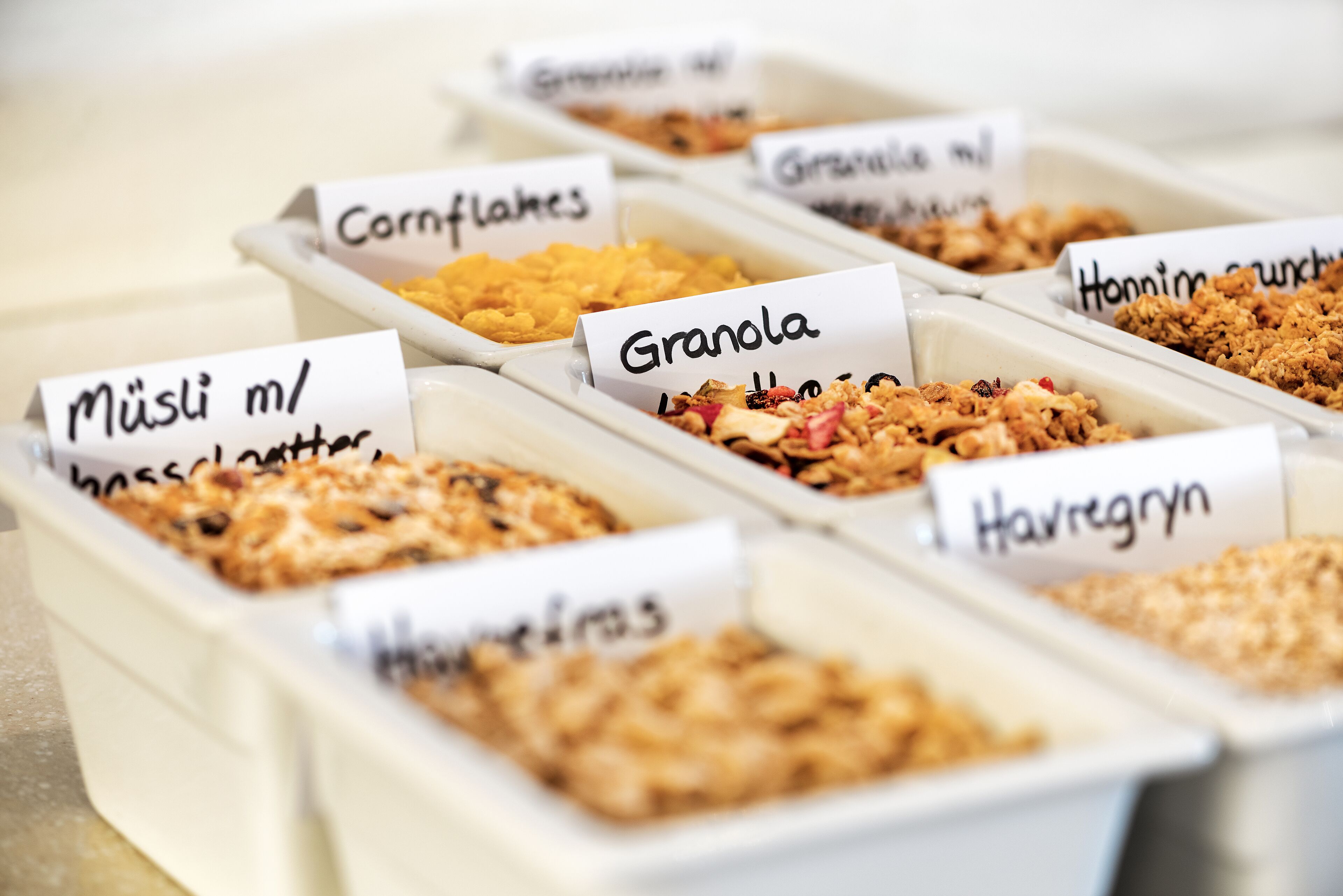 Différents types d’aliments sont présentés dans des contenants étiquetés, notamment des céréales, des flocons de maïs et du muesli.