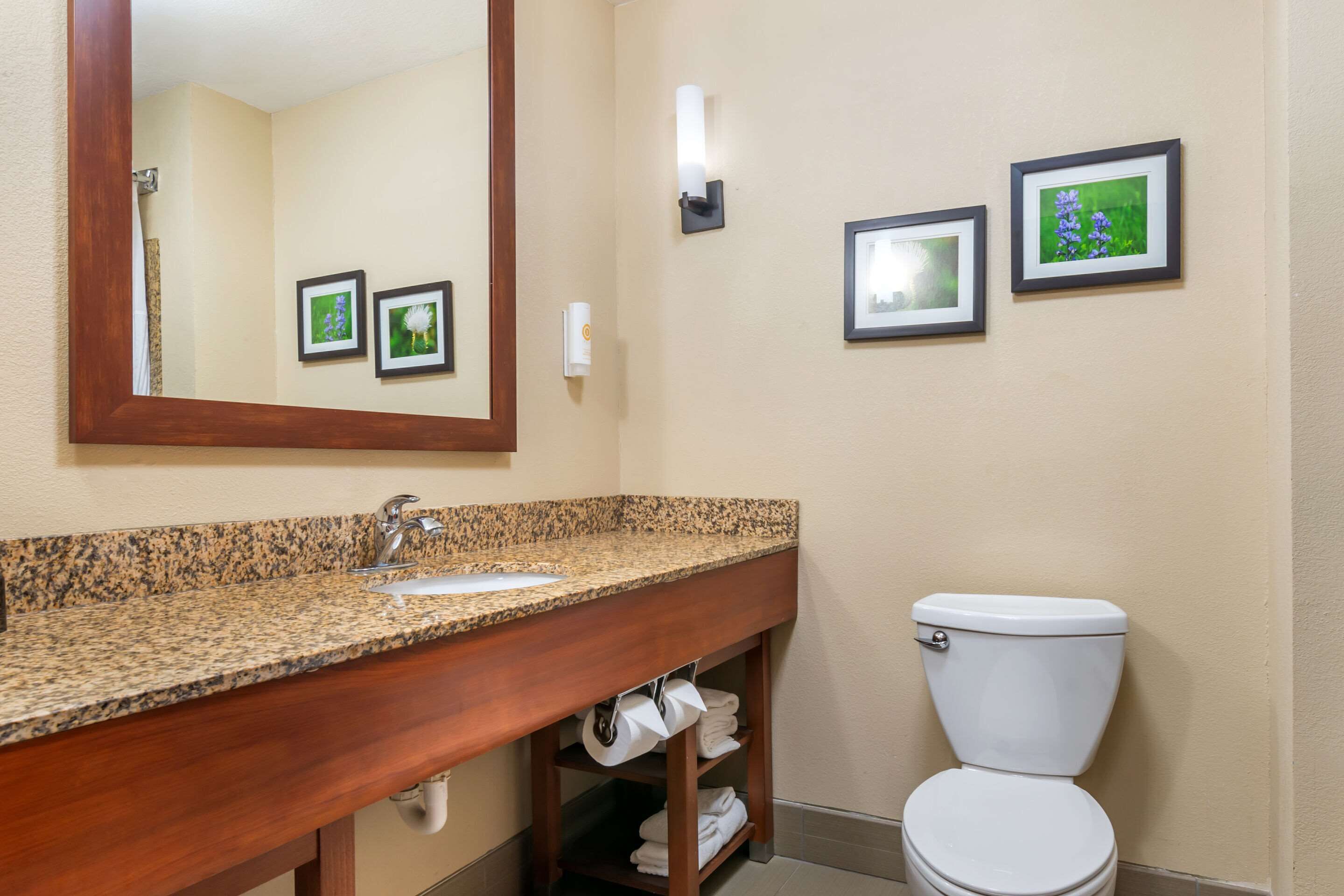 Une salle de bain avec un lavabo en granit, un miroir, des toilettes et trois tableaux encadrés accrochés au mur.