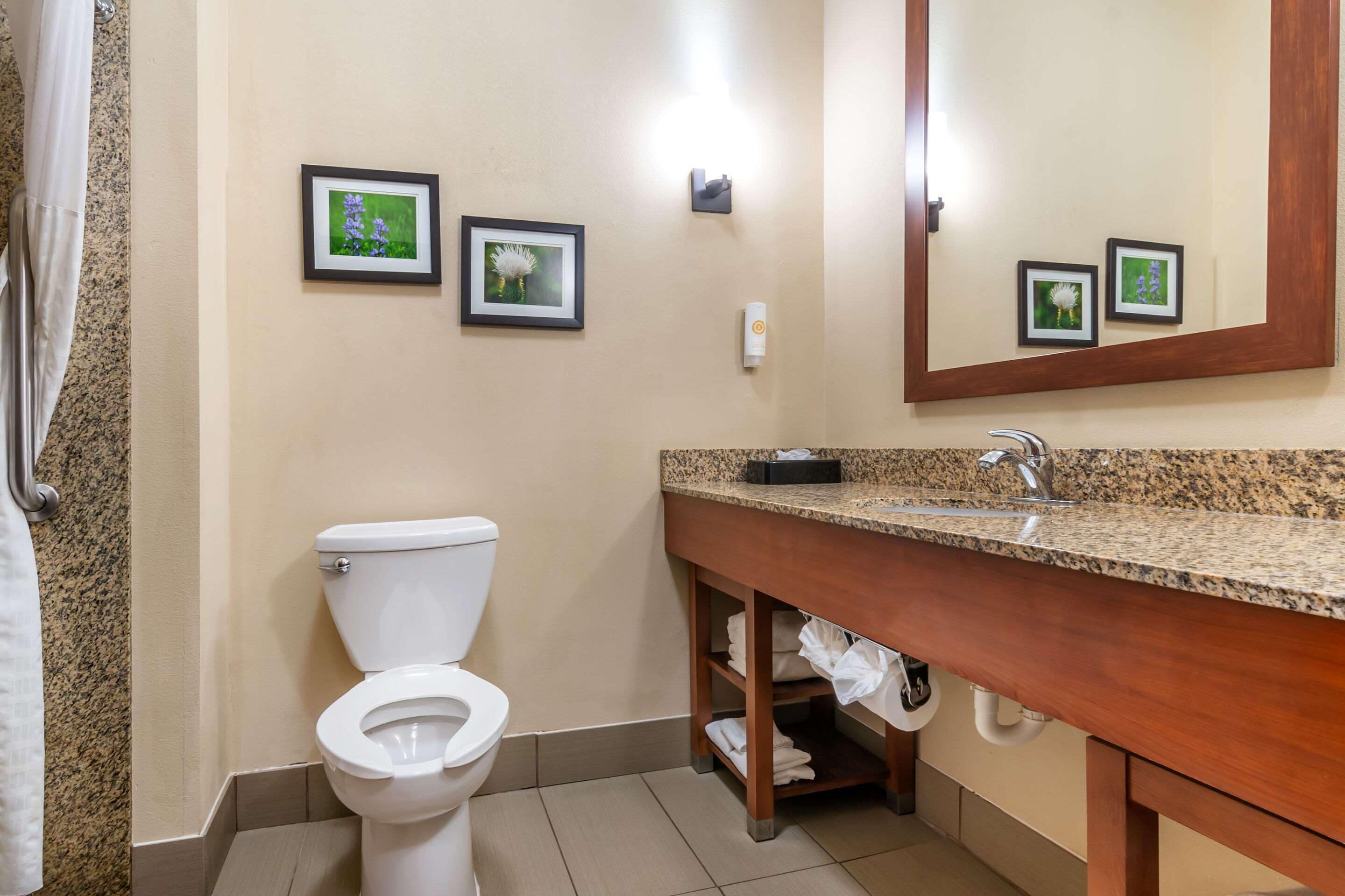 A bathroom with a toilet, sink, and mirror. There are three framed pictures on the wall.