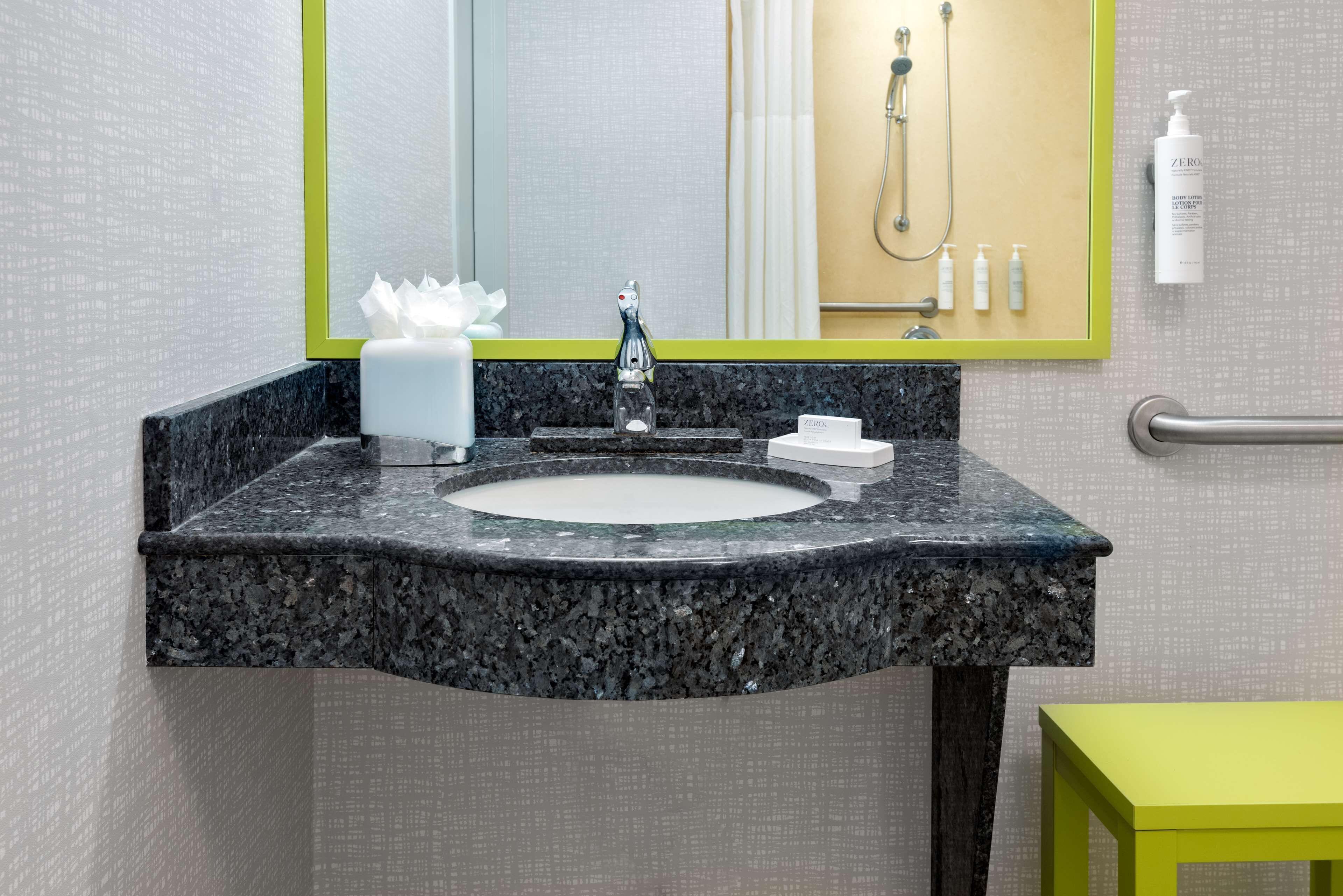 1 king bed, accessible roll in shower, studio non smoking | bathroom shower