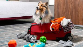 A dog sitting in a red suitcase surrounded by various toys on a carpeted floor.