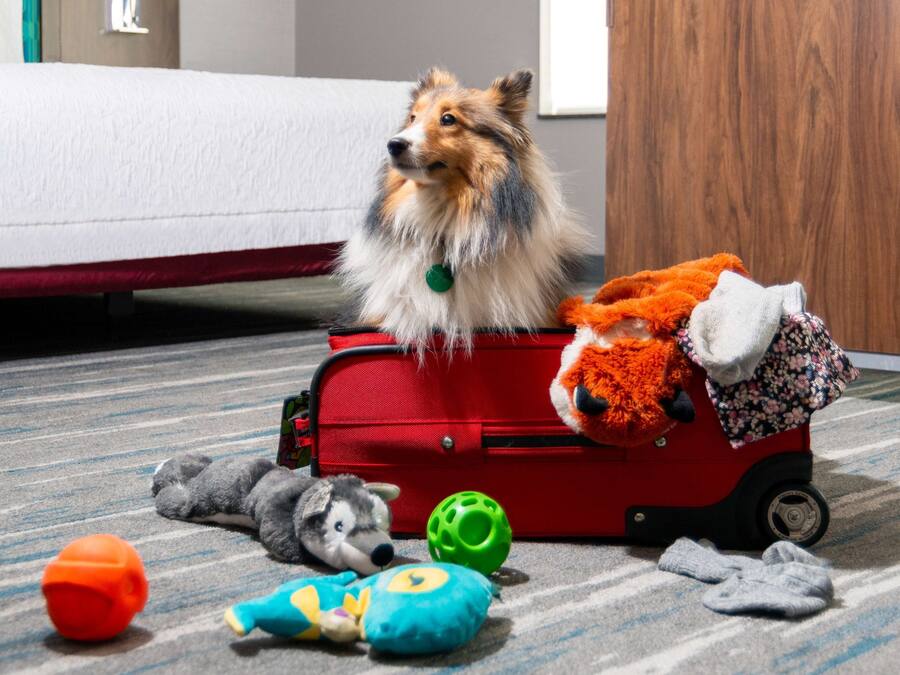 A dog sitting in a red suitcase surrounded by various toys on a carpeted floor.
