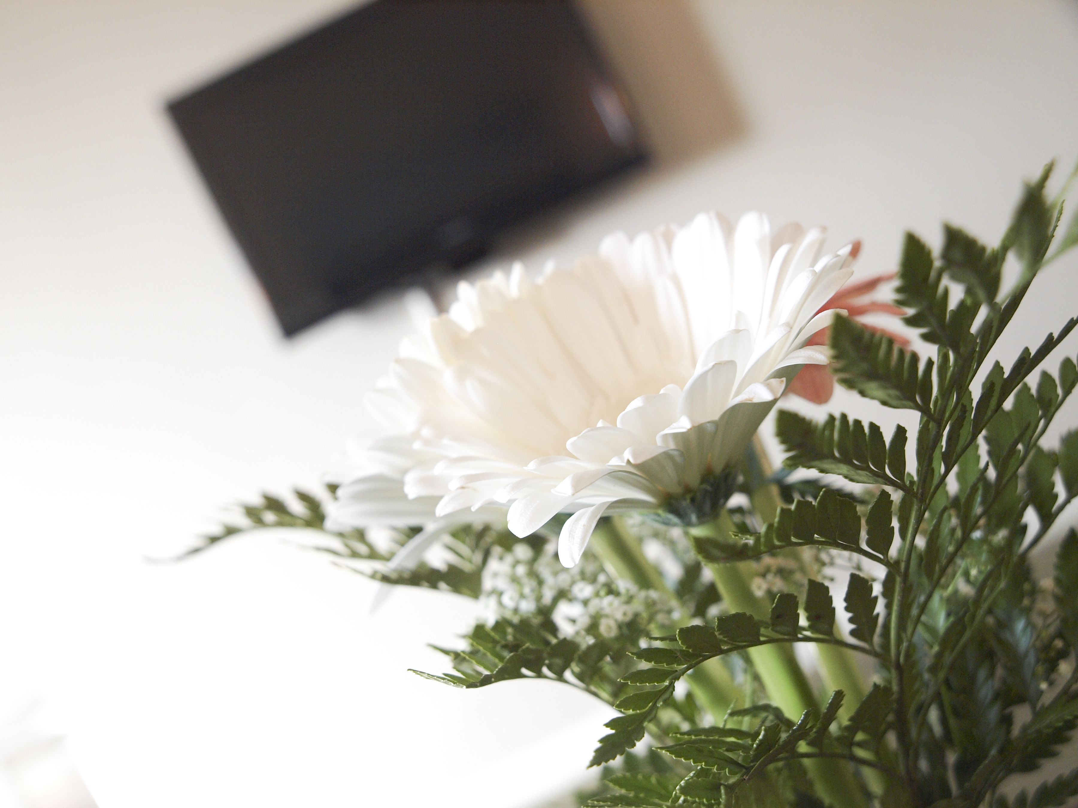 1 bedroom, iron/ironing board, free cots/infant beds, free wifi