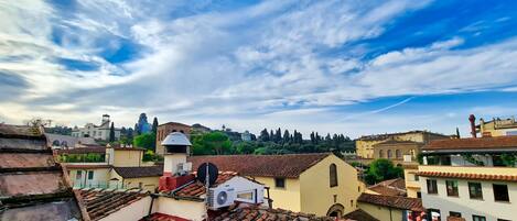 A rooftop with terracotta tiles, a satellite dish, and a water tank.