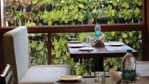 A restaurant table set with plates, cutlery, and a water bottle, with a view of green foliage through a window.