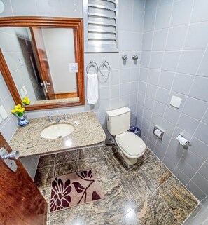 Deluxe Double Room | Bathroom | Hair dryer, toilet paper