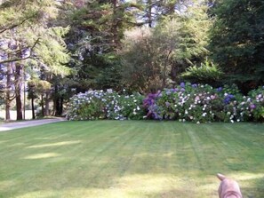 Garden - Currarevagh House (Oughterard)