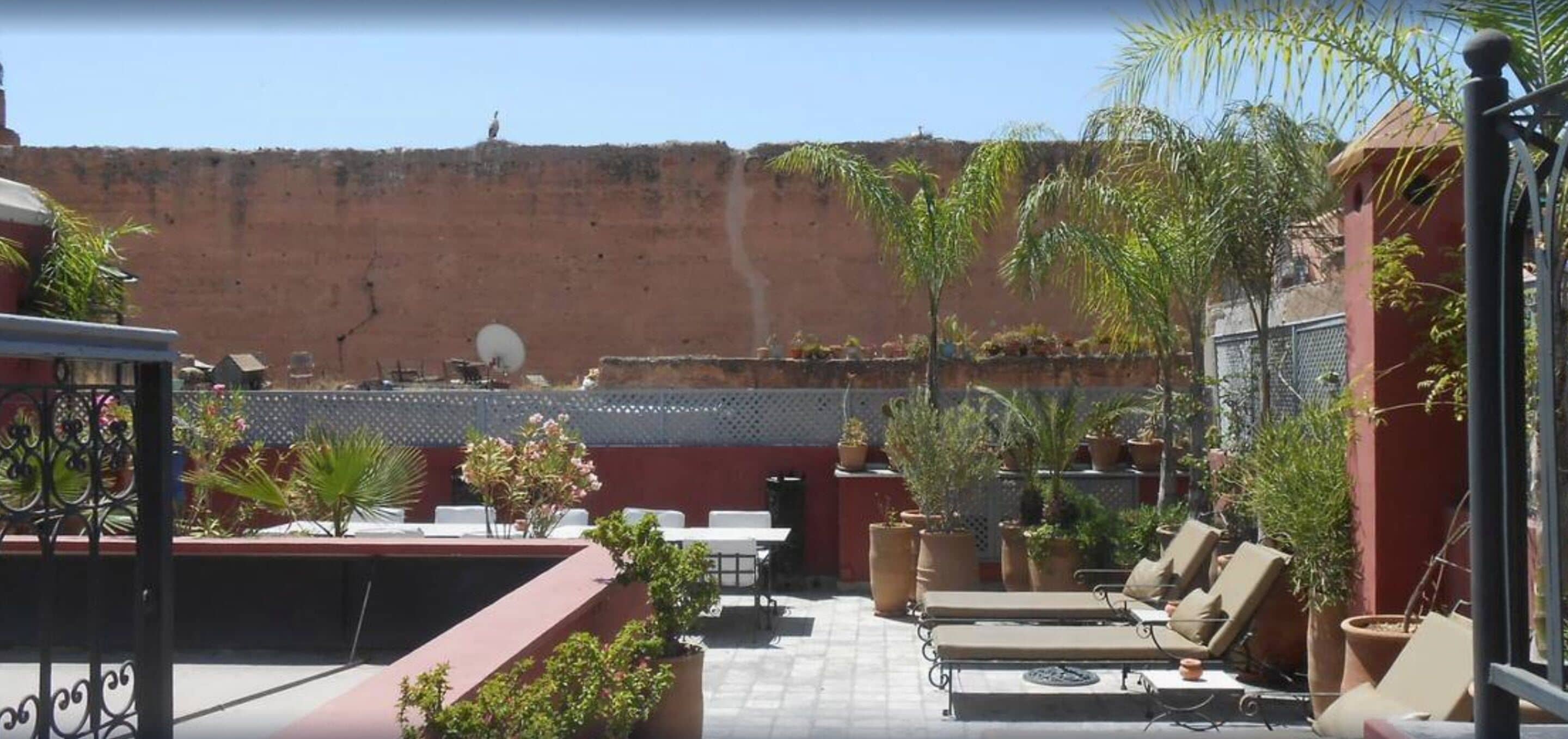 Terraza en la azotea con sillones de descanso, plantas en macetas y vista a un muro rojo.