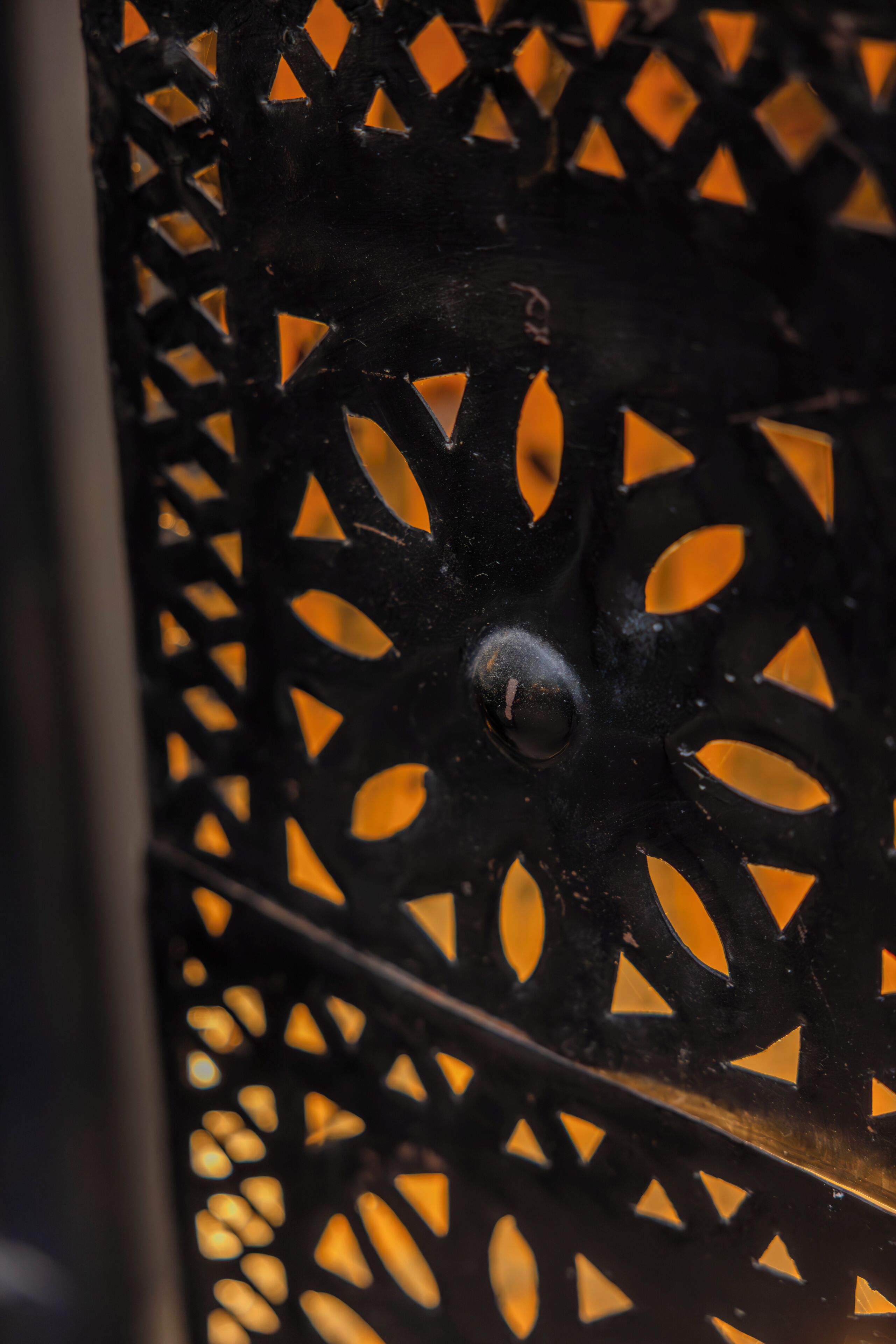 Foto - Riad Alegria