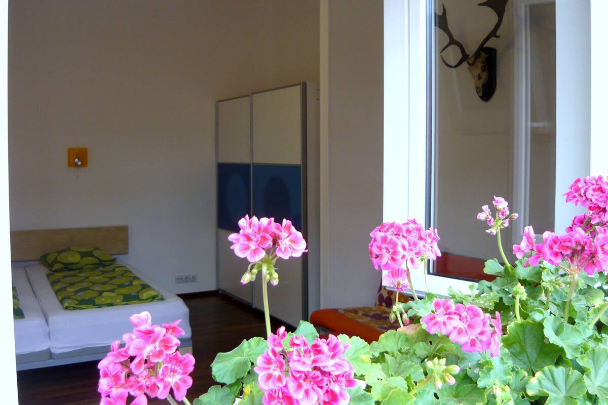 In-room safe, iron/ironing board, WiFi (free)