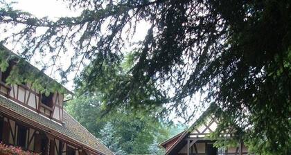 Hôtel-Restaurant du Château d'Andlau