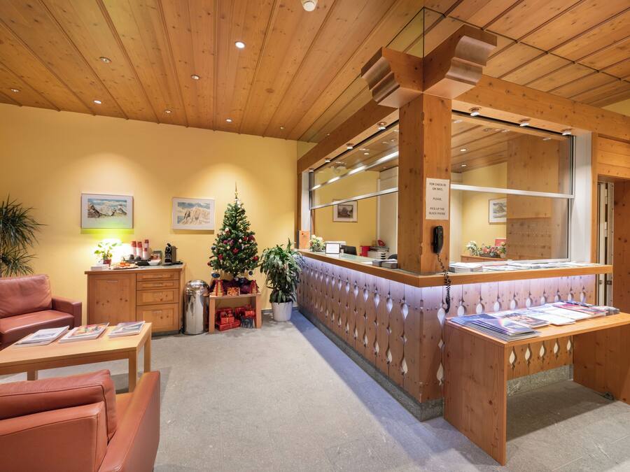 A reception area with a wooden reception desk, a Christmas tree, and a seating area with leather chairs and a table.