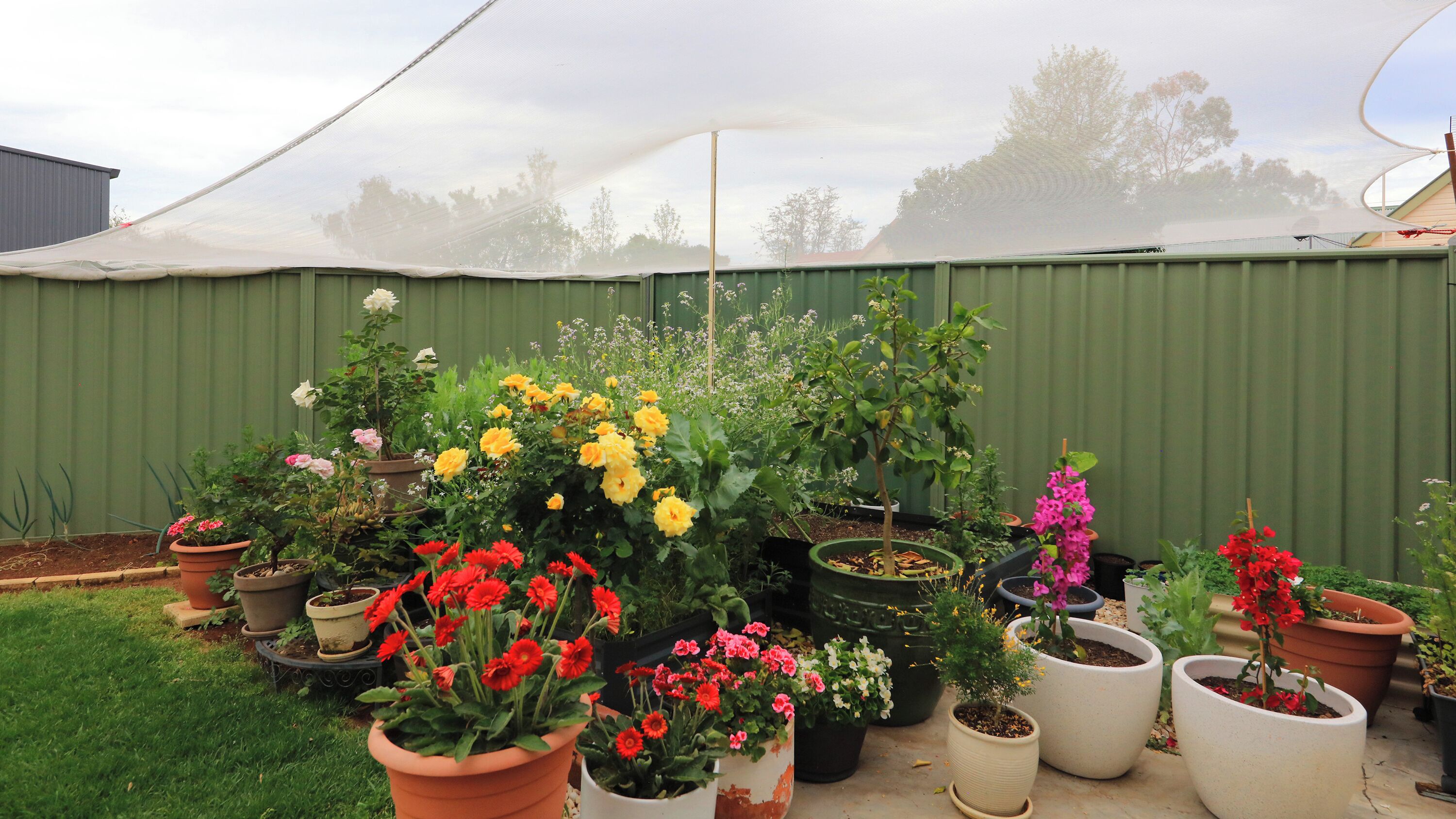 Garden