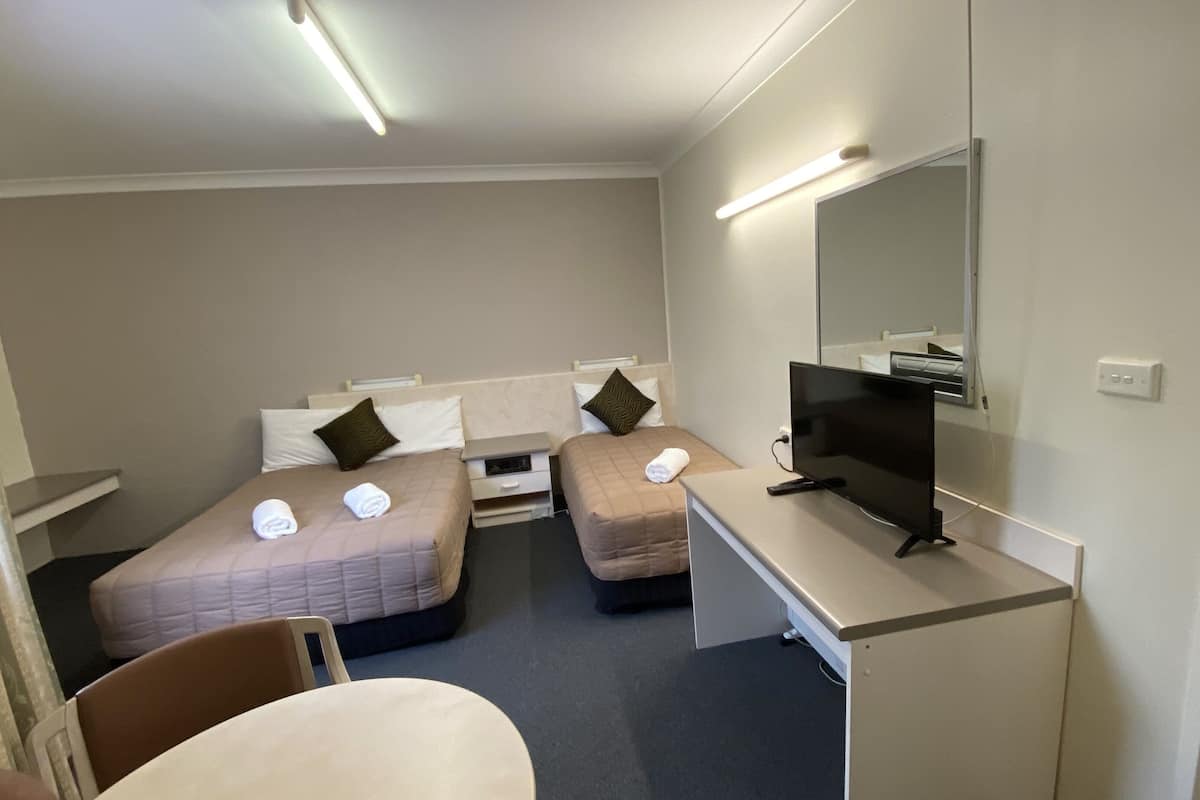 Minibar, laptop workspace, iron/ironing board, free WiFi