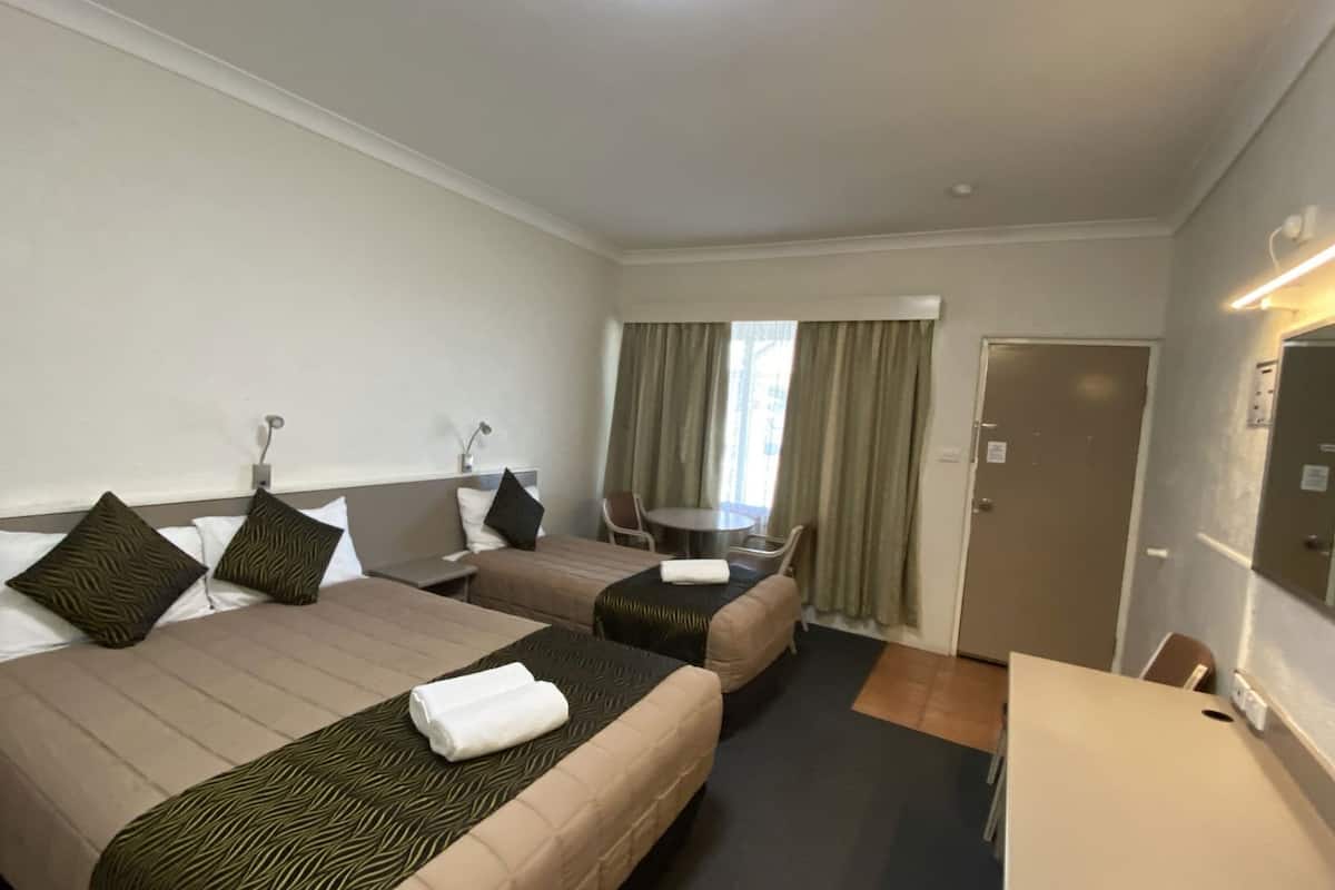 Minibar, laptop workspace, iron/ironing board, free WiFi