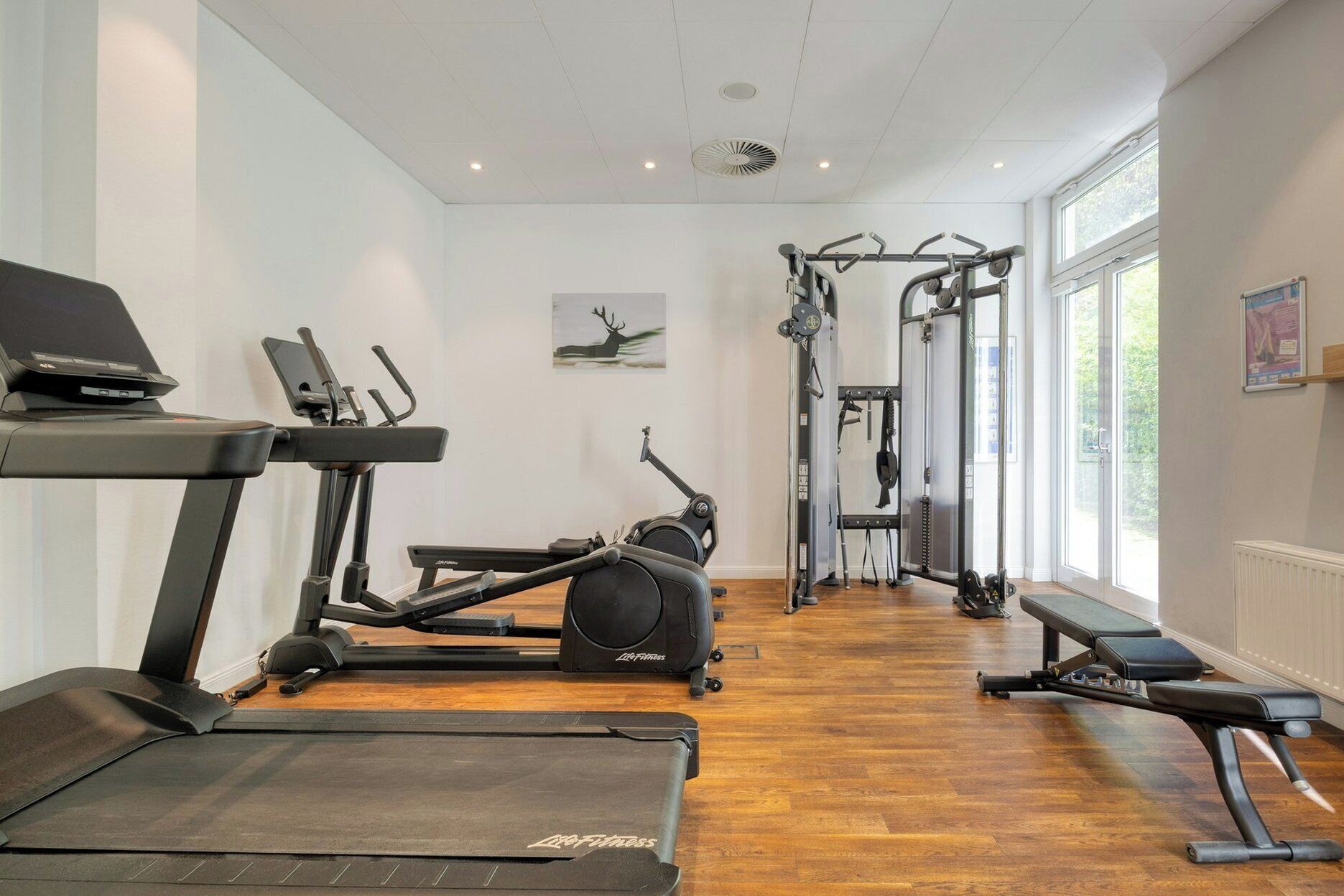 A gym with treadmills, a rowing machine, a bench, and a weight machine.
