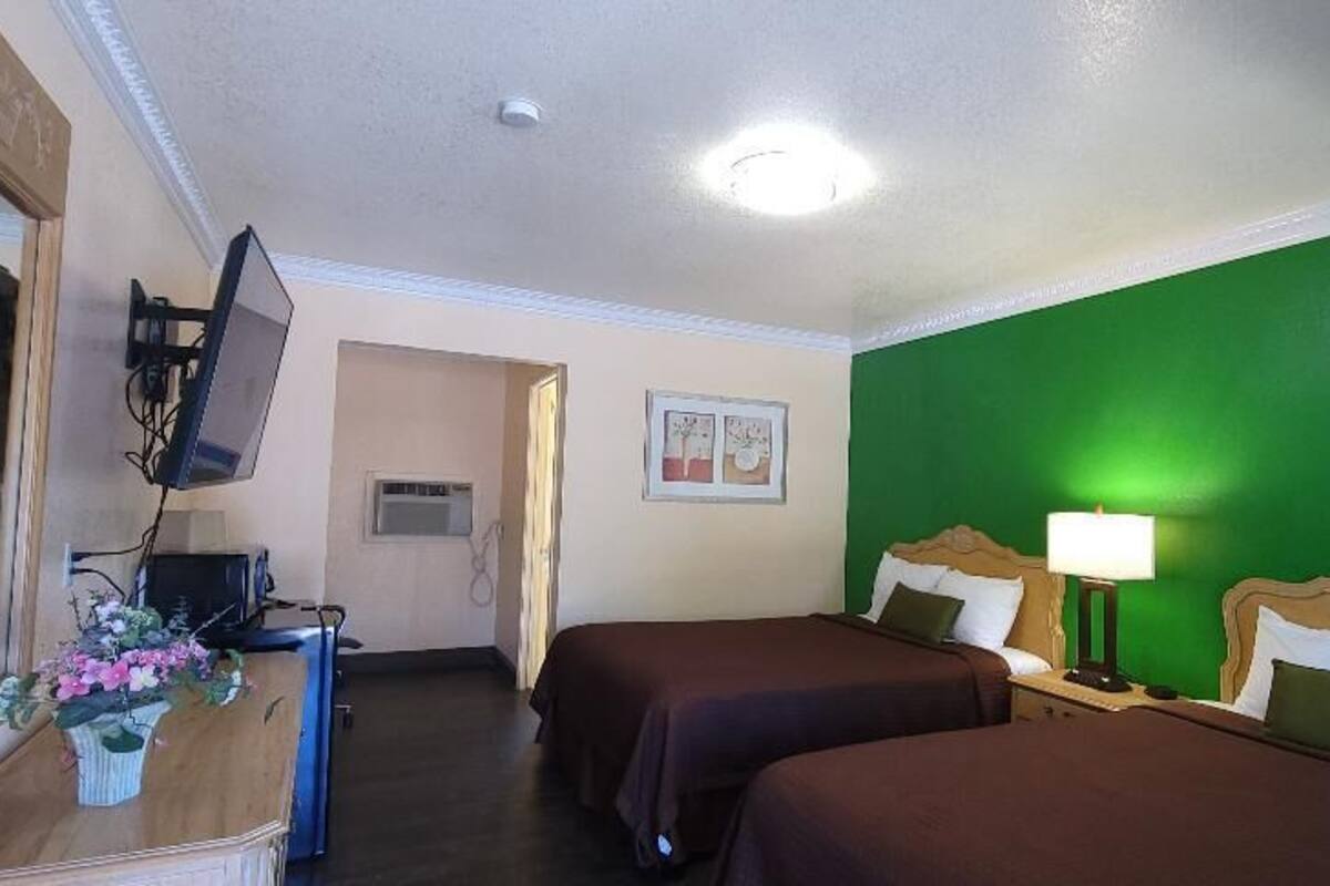 A hotel room with two beds, a TV, a desk, and a green accent wall.
