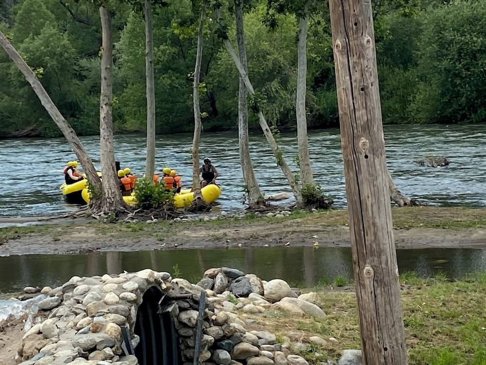 Sequoia Riverfront Cabins by null