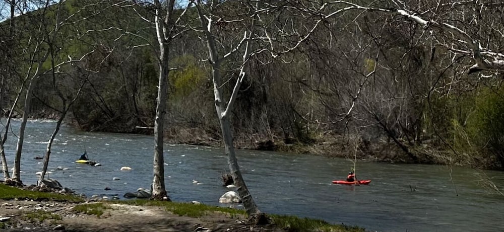 Sequoia Riverfront Cabins by null