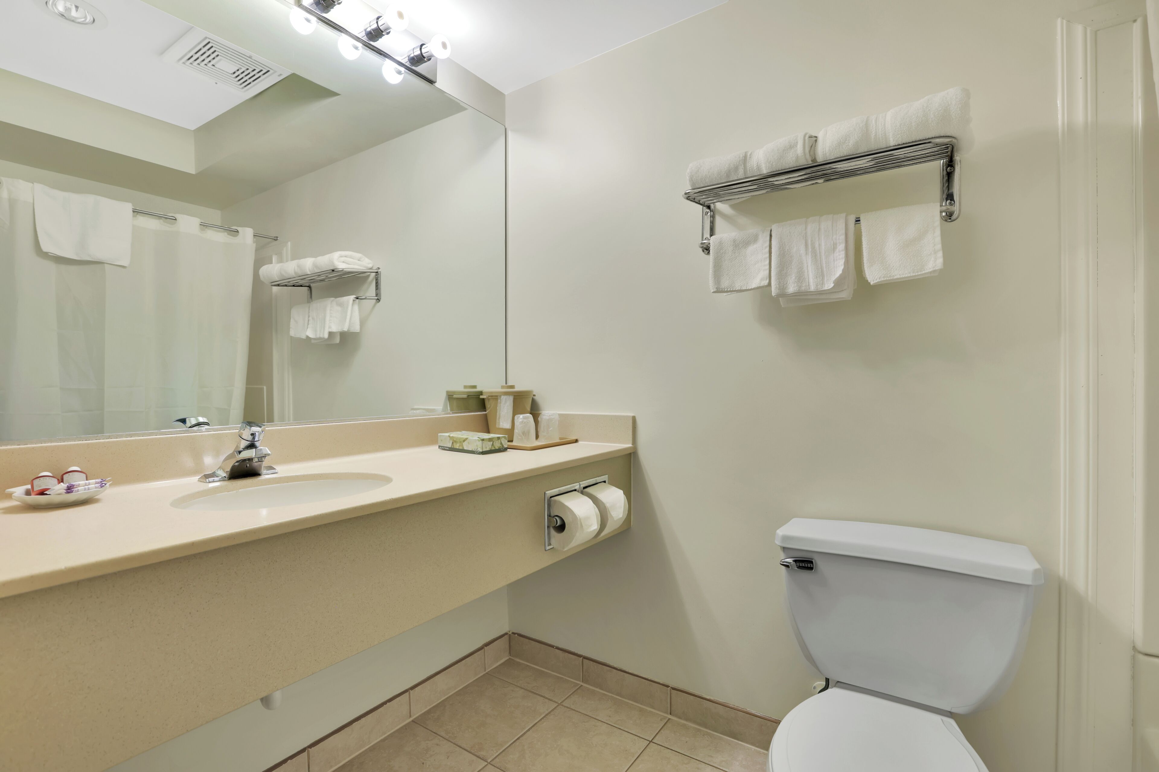 combined shower/bathtub, free toiletries, hair dryer, towels