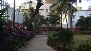 Un sendero pavimentado que conduce a un edificio con cerca blanca, rodeado de plantas y árboles.