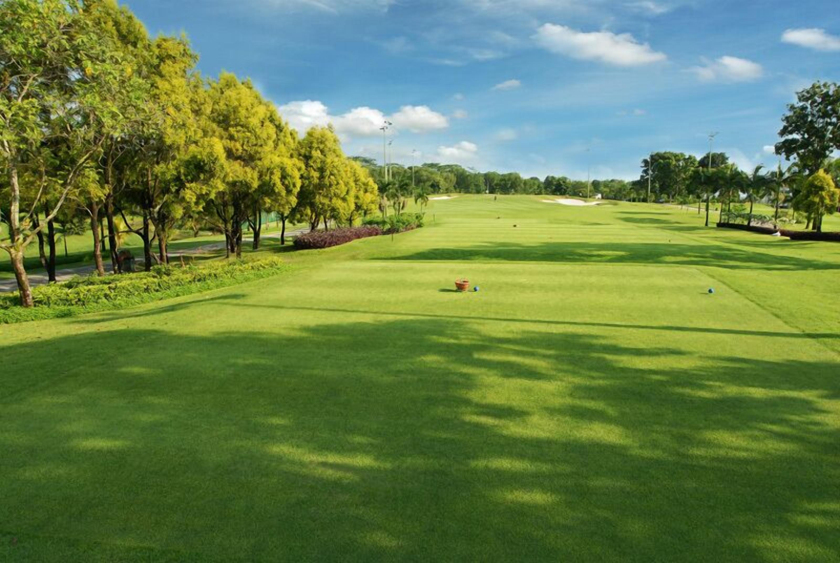 Un campo de golf con un green cuidado, árboles a los lados y un cielo despejado.