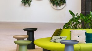 A modern interior with a green sofa, three small stools, and wall-mounted planters. - Capital Plaza Hotel (Bucharest)
