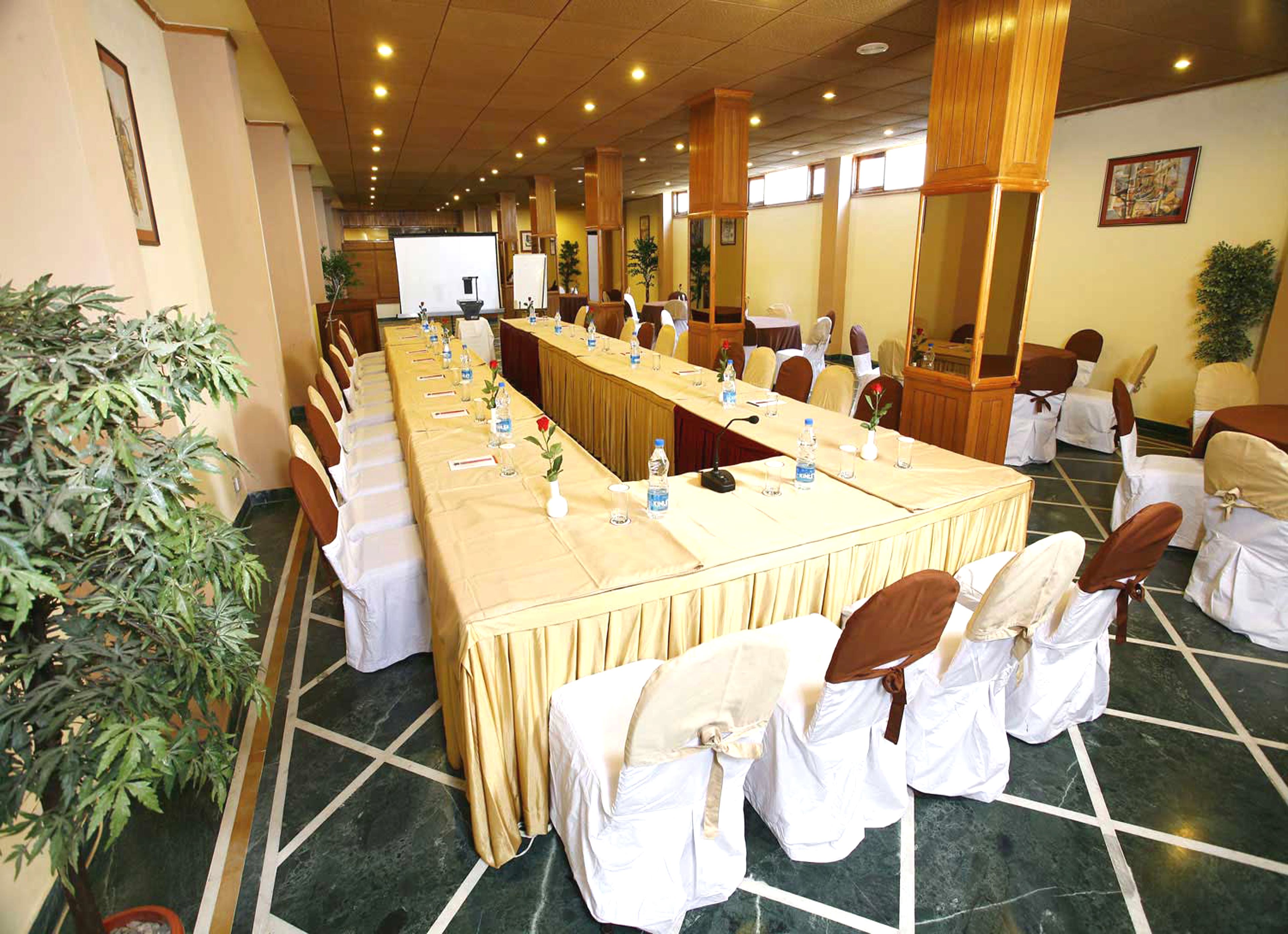 Une salle de conférence avec une longue table, des chaises et une grande plante.