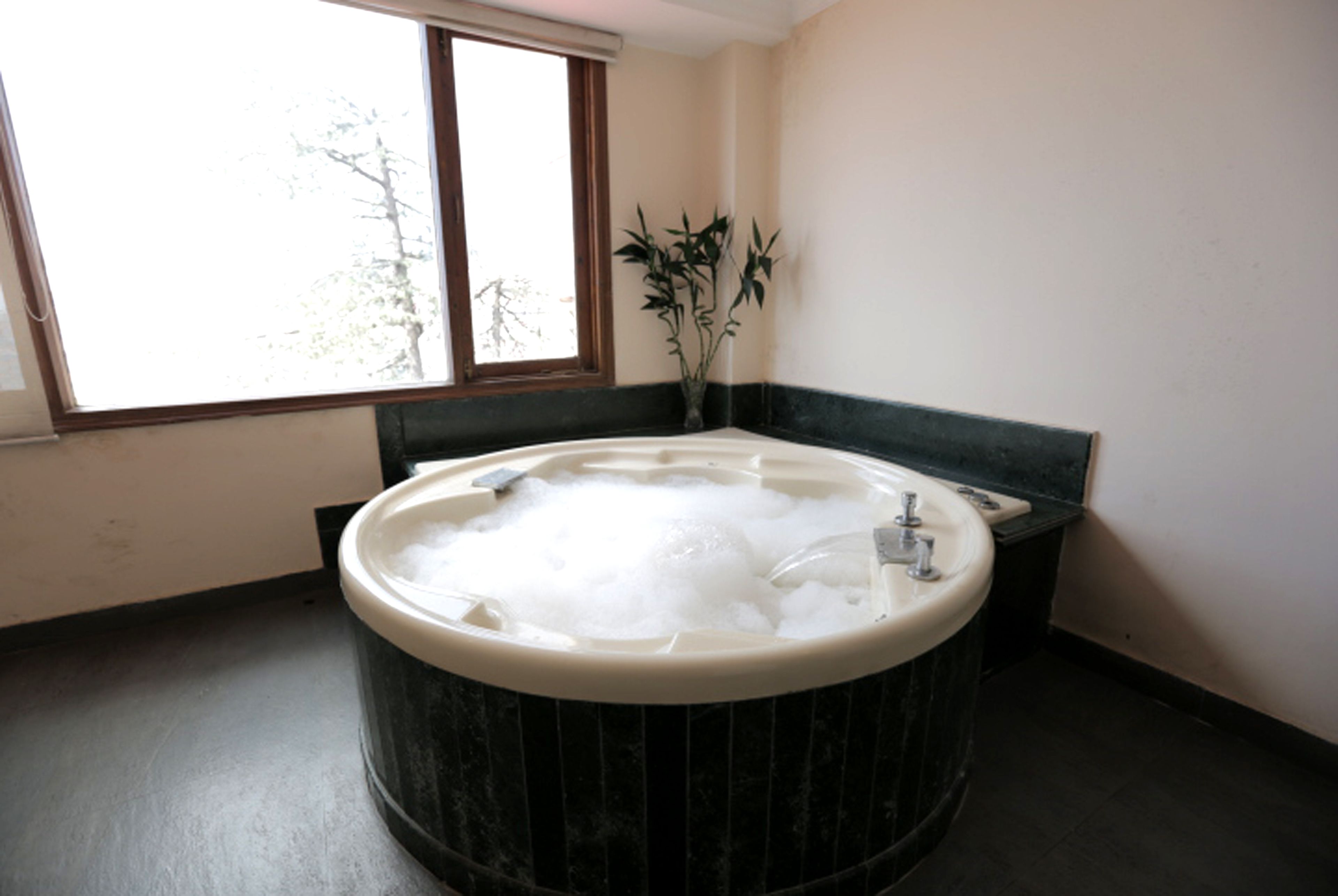 A bathroom with a large bathtub, a window, and a potted plant.